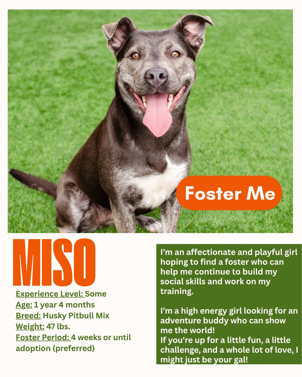 PHS/SPCA tweet media