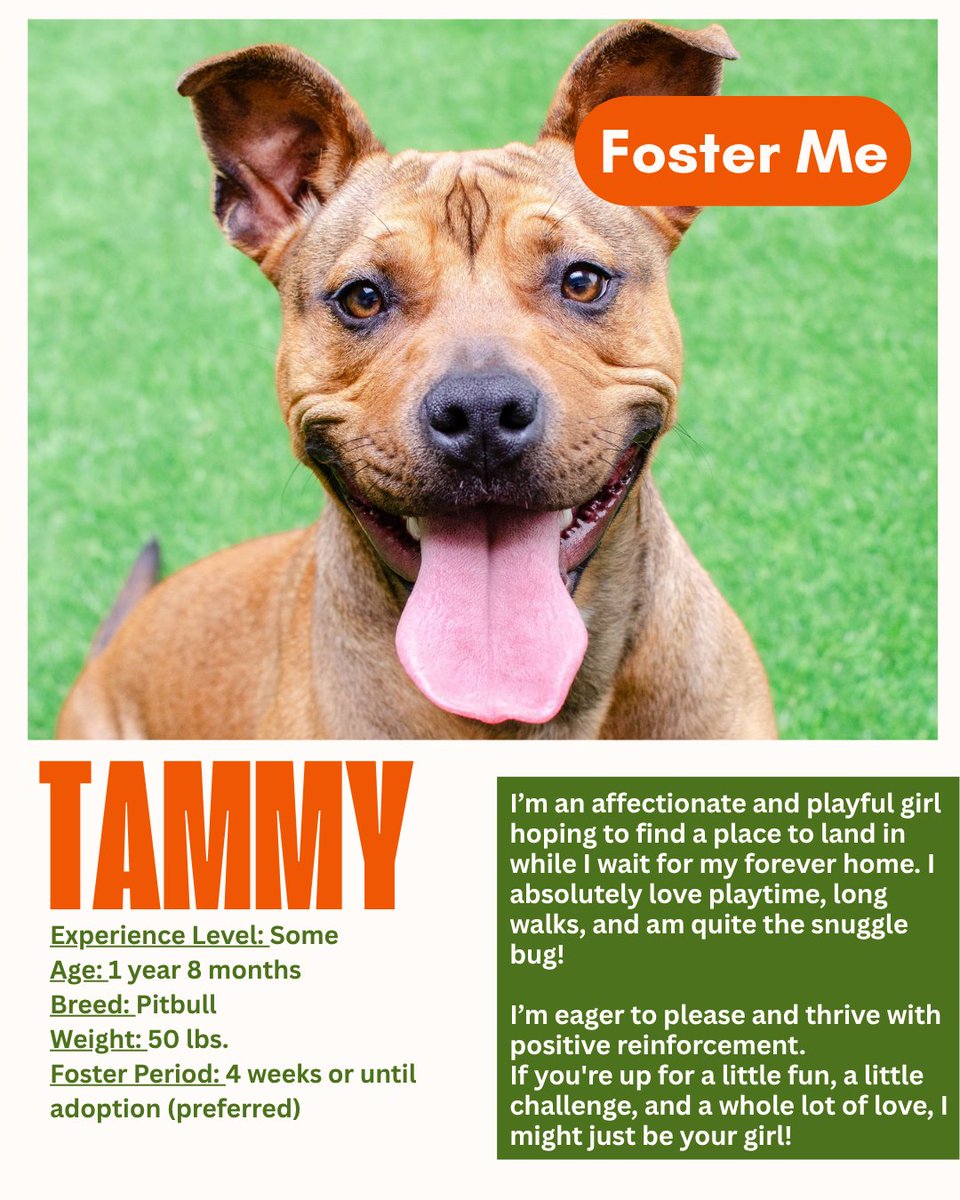 PHS/SPCA tweet media