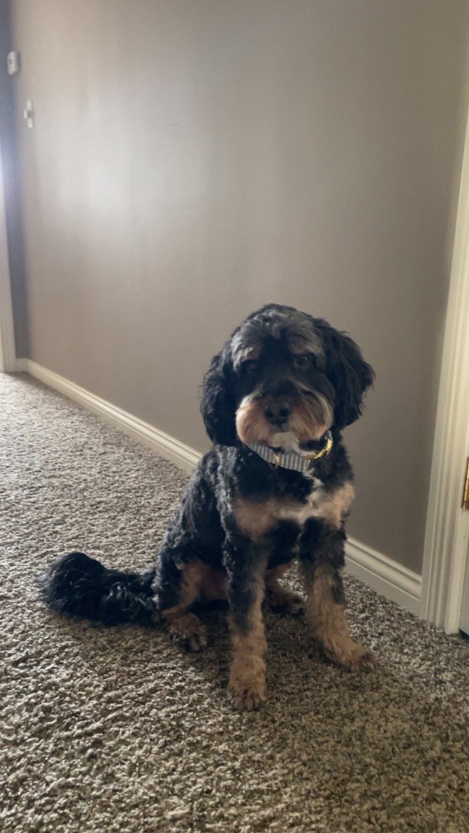 John Patrick Payment tweet media