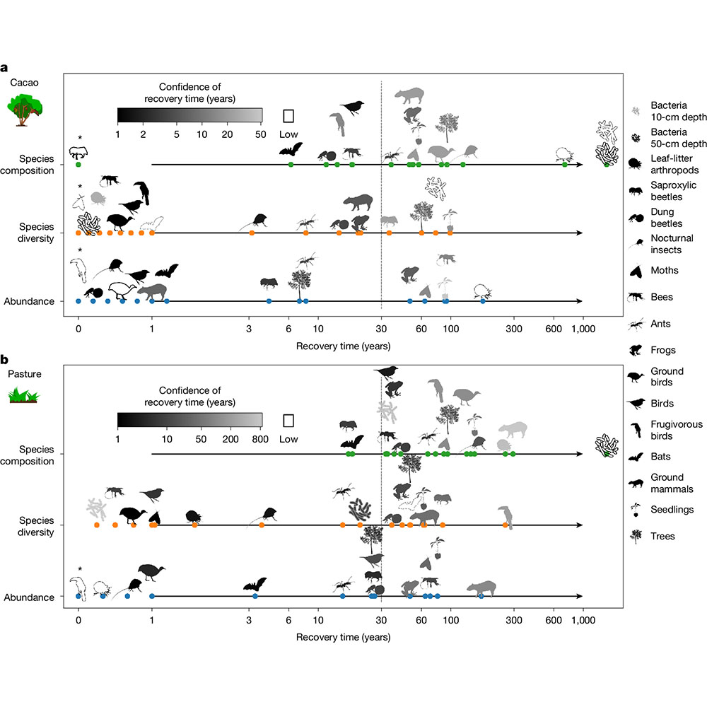 NaturePortfolio's tweet photo. Assessment of how 16 taxonomic groups in a lowland tropical forest resist and recover from human disturbance shows the potential of protecting naturally regenerating secondary forests to reverse biodiversity losses, according to a paper in Nature. https://t.co/1qK7368nPn https://t.co/nqzk3av3by