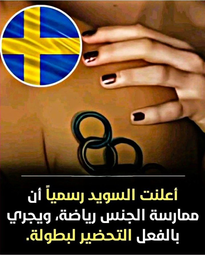 Mo'men Megdadi | مؤمن مقدادي tweet media