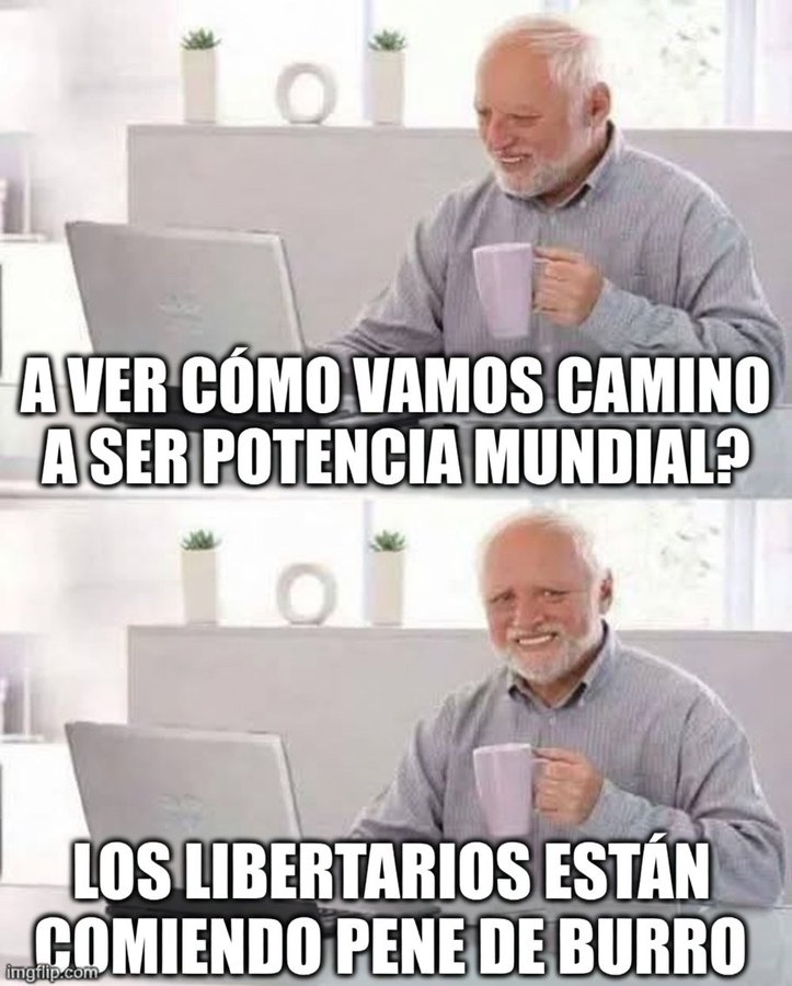 Daniel Al-Rashid tweet media