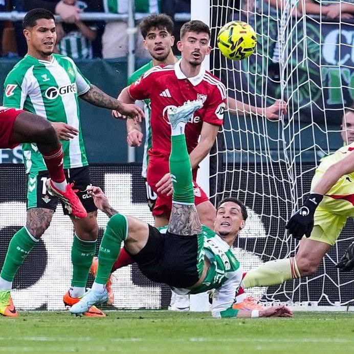 The Sports Grid tweet media