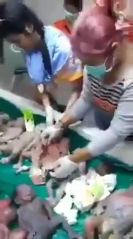 TrueFighter tweet media