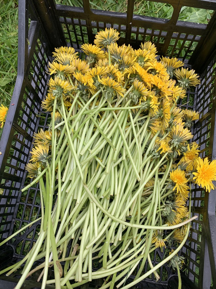 isabelle duper tweet media