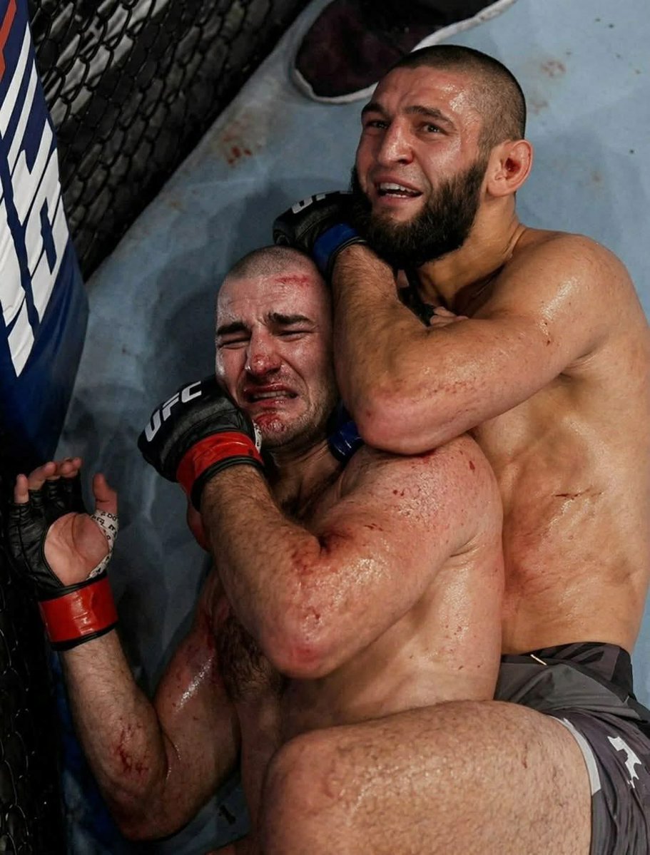 MrTestoestrogen tweet media