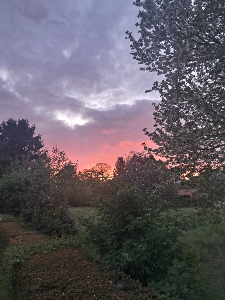 Belgonerd1's tweet image. #evening