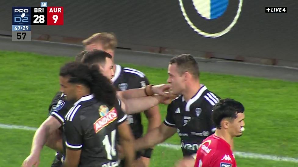 📌 Allez Brive ⬇️ tweet media