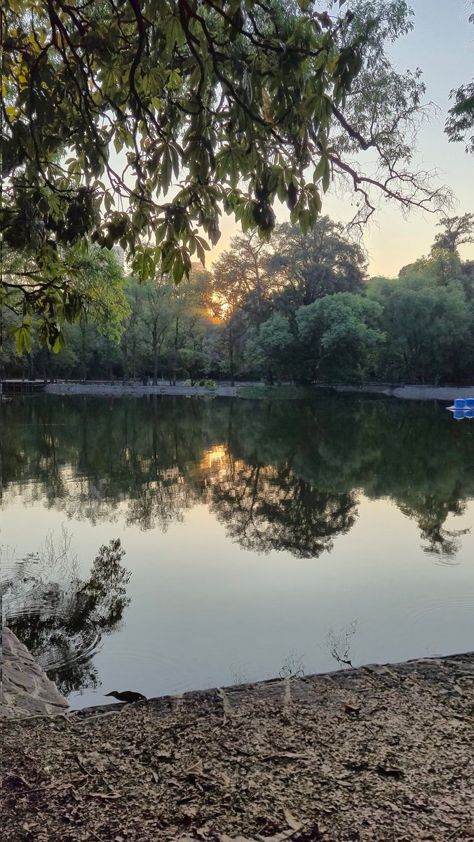 efrencasas's tweet image. #TGIFriday #FridayMotivation #running #nikerunning #yoelegicorrer #fitover61 #corrersana #laufen #RunDay #Chapultepec #CDMX #esdecorredores