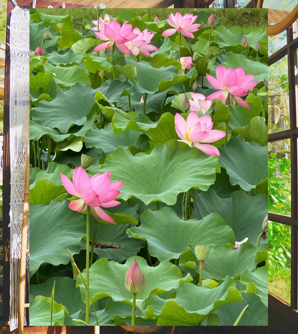 Keith Jackson tweet media