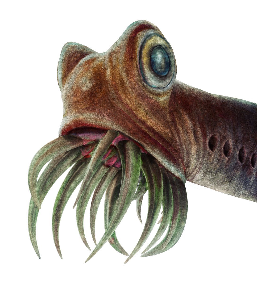 EDGE Central tweet media