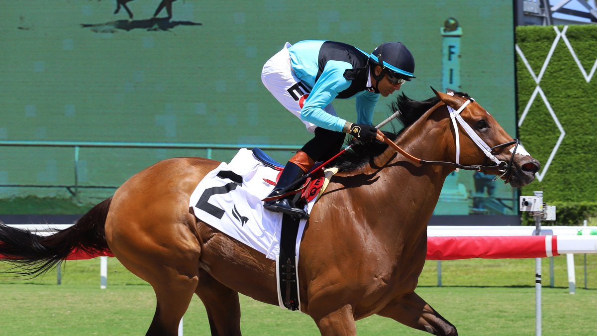 Gulfstream Park tweet media