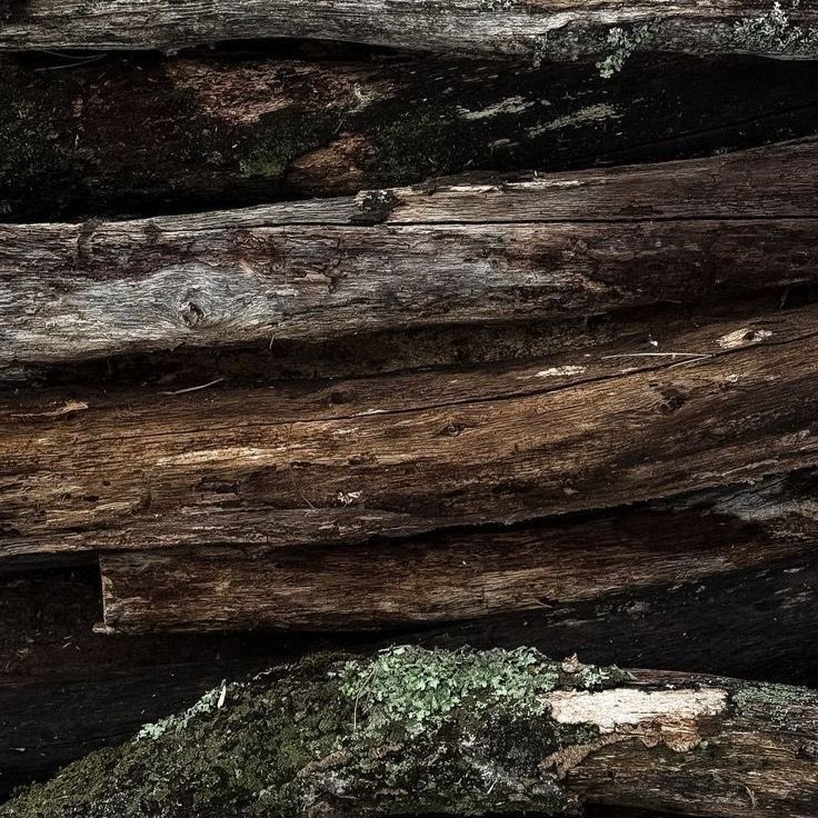 Hyle Hunt tweet media