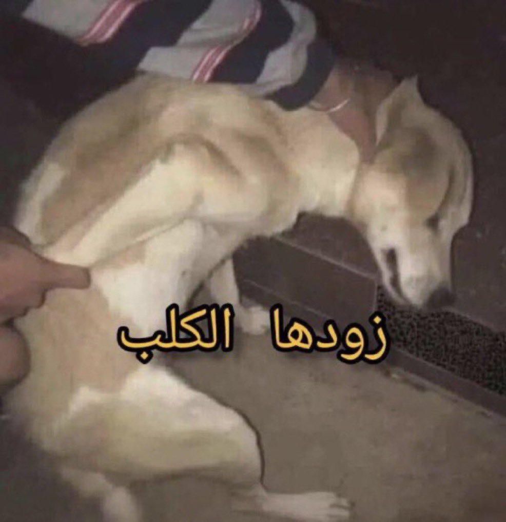 محمد tweet media