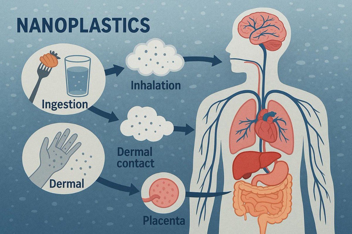 vendiesel tweet media