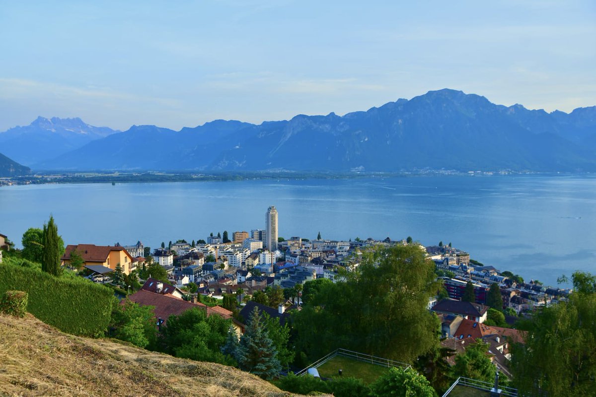 #Montreux 2026 : L’heure de vérité a sonné

L’accord humanitaire conclu à Montreux ne peut plus se contenter de déclarations d'intention ; il sera désormais jugé sur pièces. En acceptant la libération des prisonniers sous dix jours, l’Alliance Fleuve Congo place le processus sous