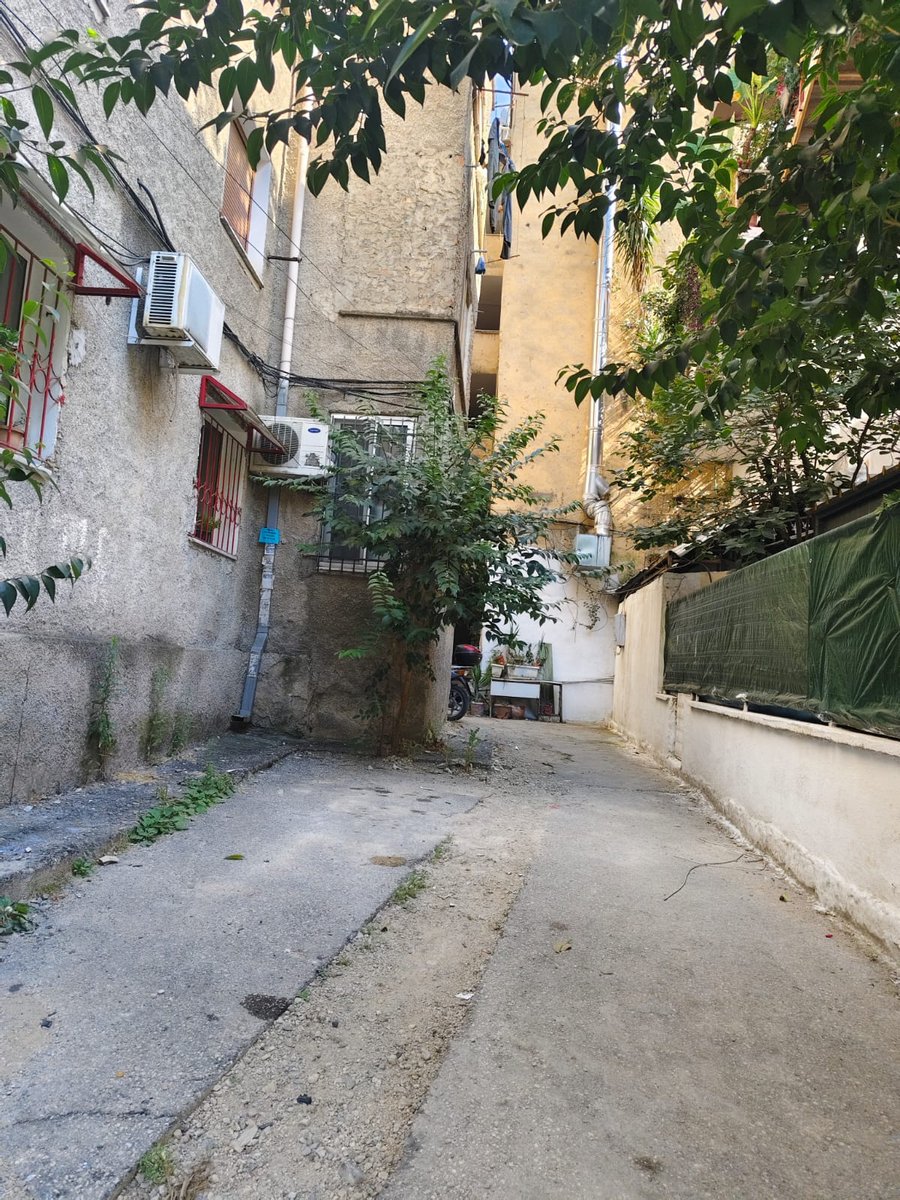 Ada Sims tweet media