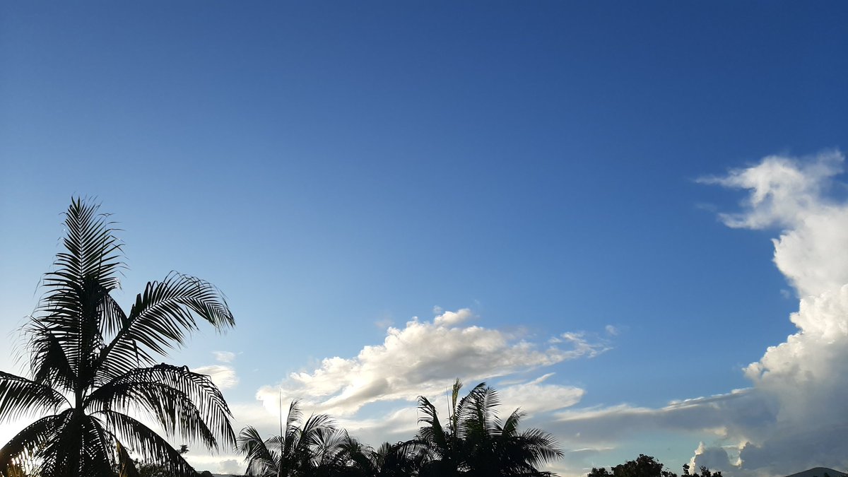 Have a wonderful weekend everyone 🌴 🌞 🌴 ~ !