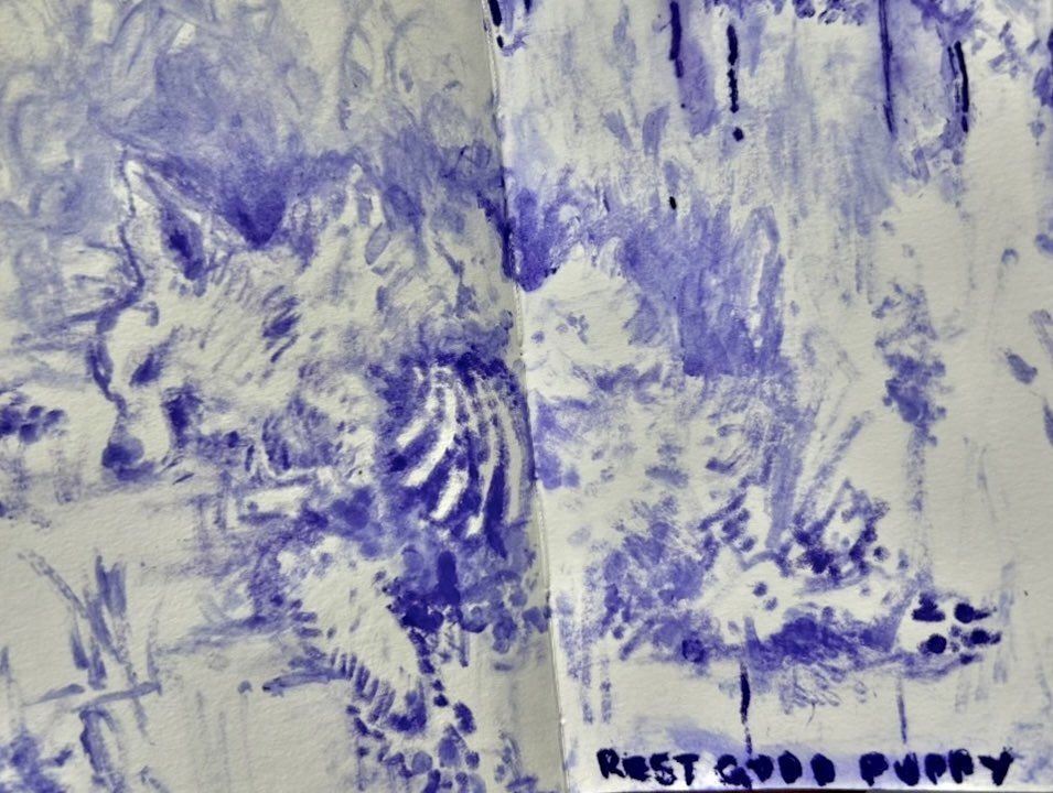 𝖊𝖑𝖒𝖊𝖗 tweet media