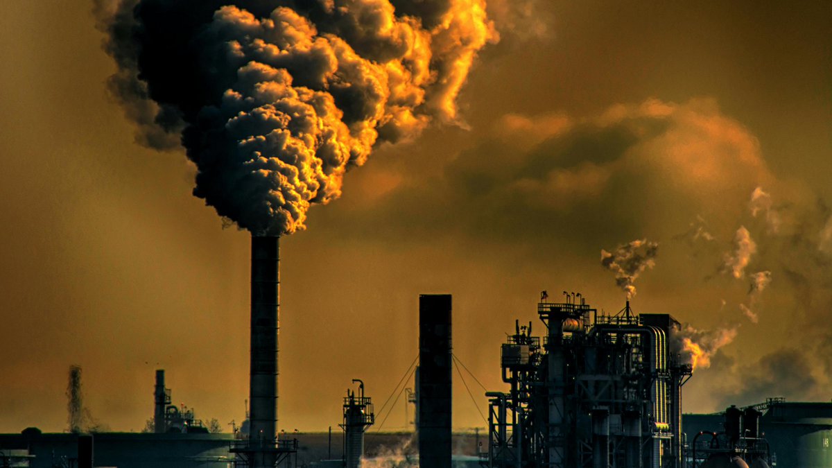 FactPost tweet media