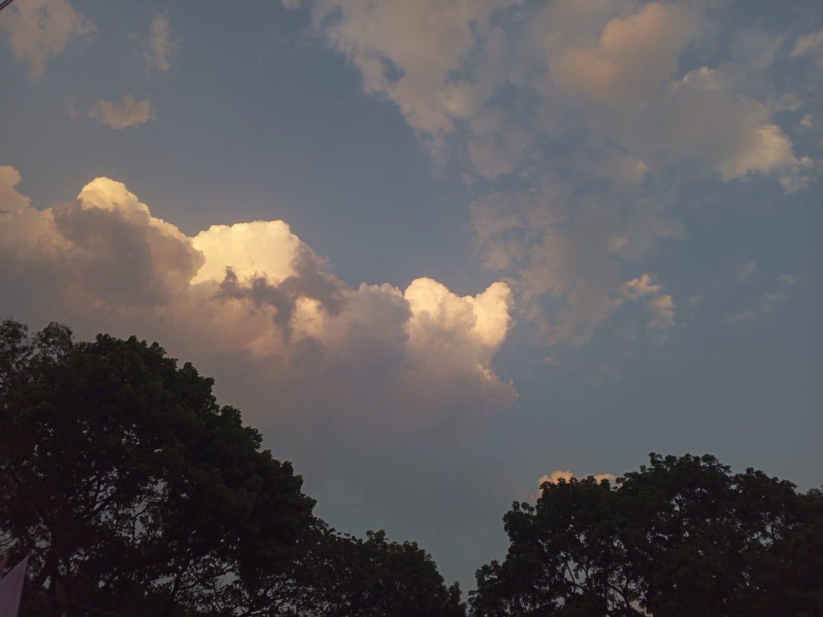 𝑺𝒂𝒎𝒓𝒆𝒆𝒏🎀🐇་༘࿐ tweet media