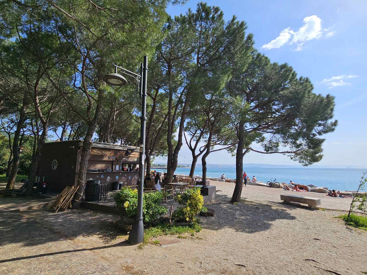 Milan Dimitric tweet media