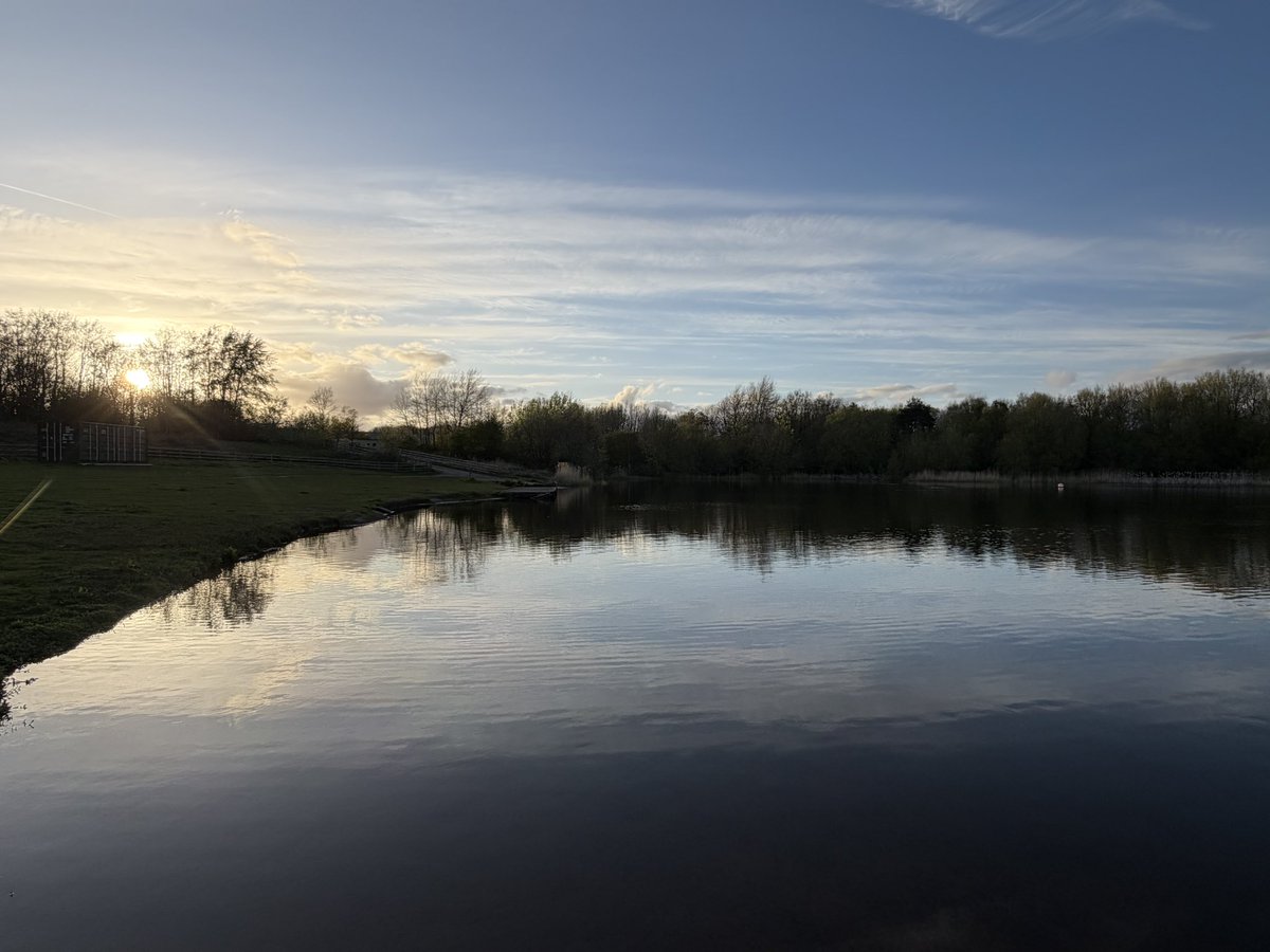 ManelRoura's tweet image. My local walk today…a stroll around #Priorslee lake #Telford