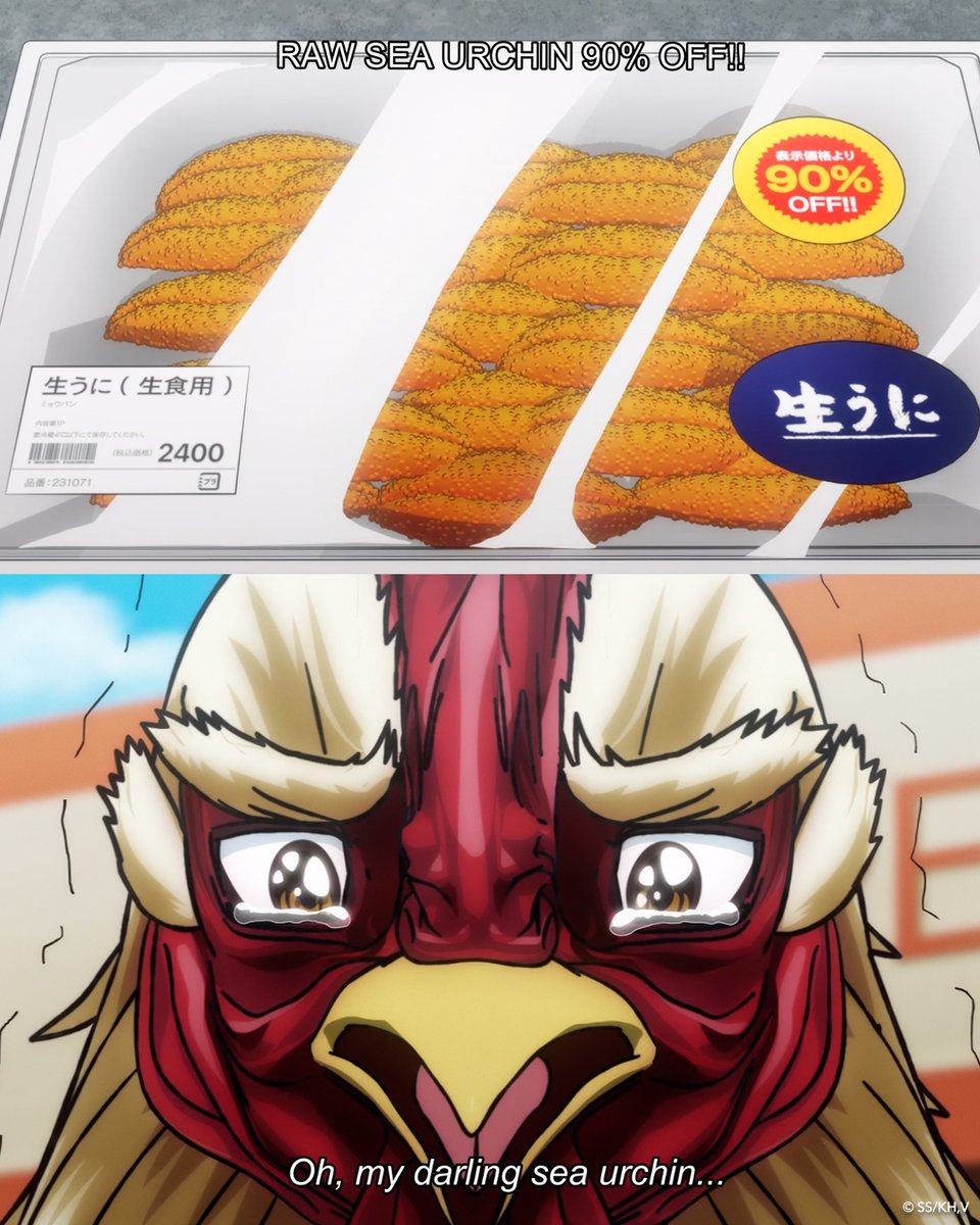 Rooster Fighter tweet media