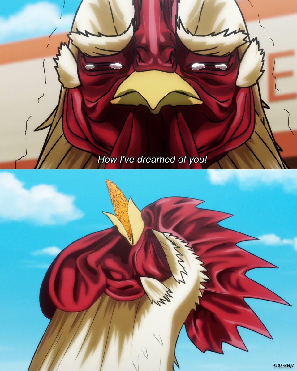 Rooster Fighter tweet media