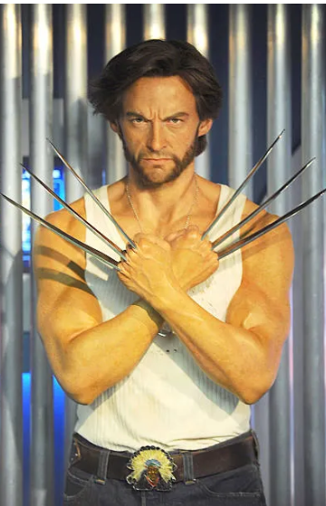 TH Beetle tweet media