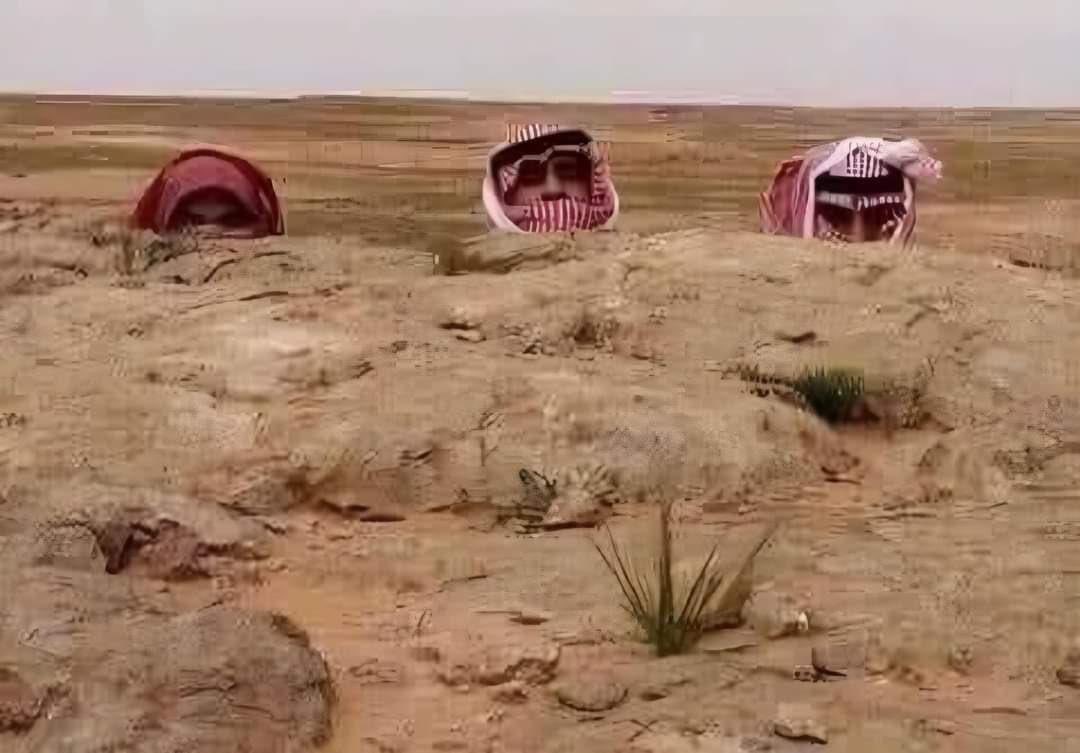 علي الصواغ tweet media