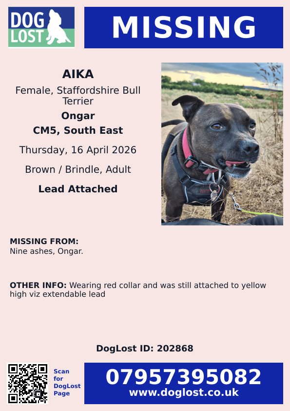 chris towers tweet media