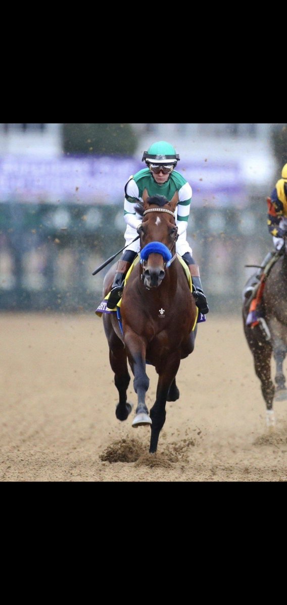 عايض البقمي tweet media