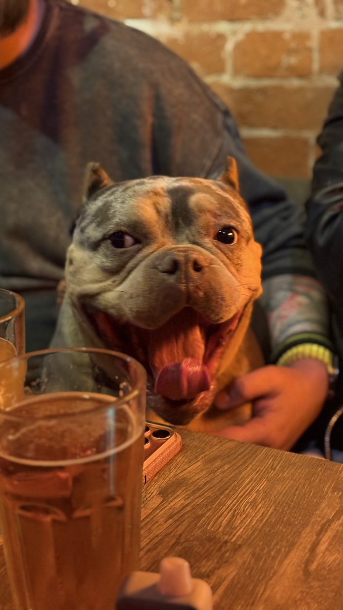 Туча! tweet media