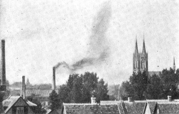 ⋆.୨୧☩premizlaus༄🇵🇲♡credo ut intelligam✠⋆｡˚⋆ tweet media