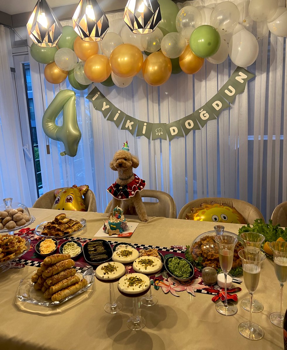 Burjdakim tweet media