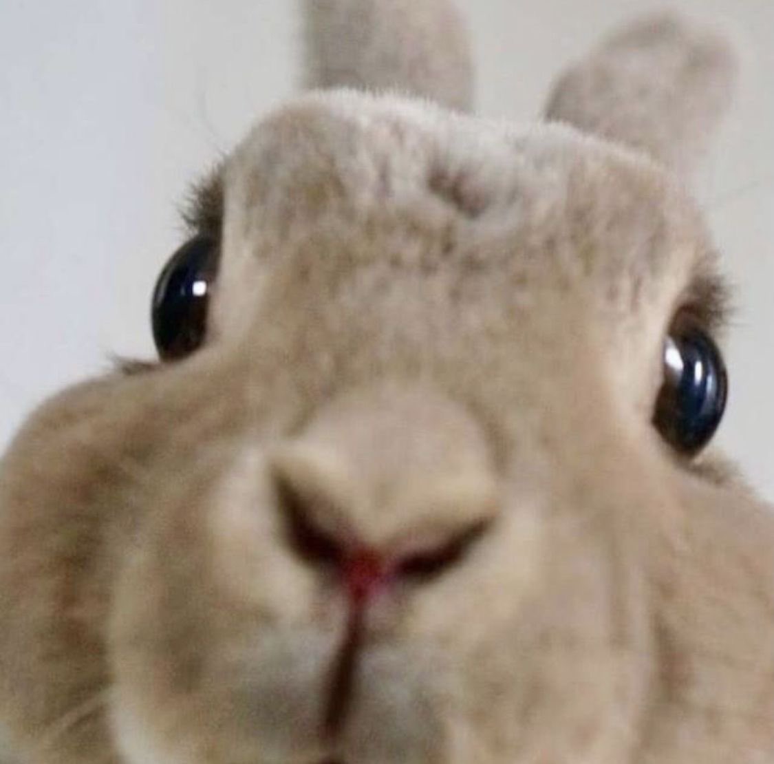 wablo ⚢ tweet media