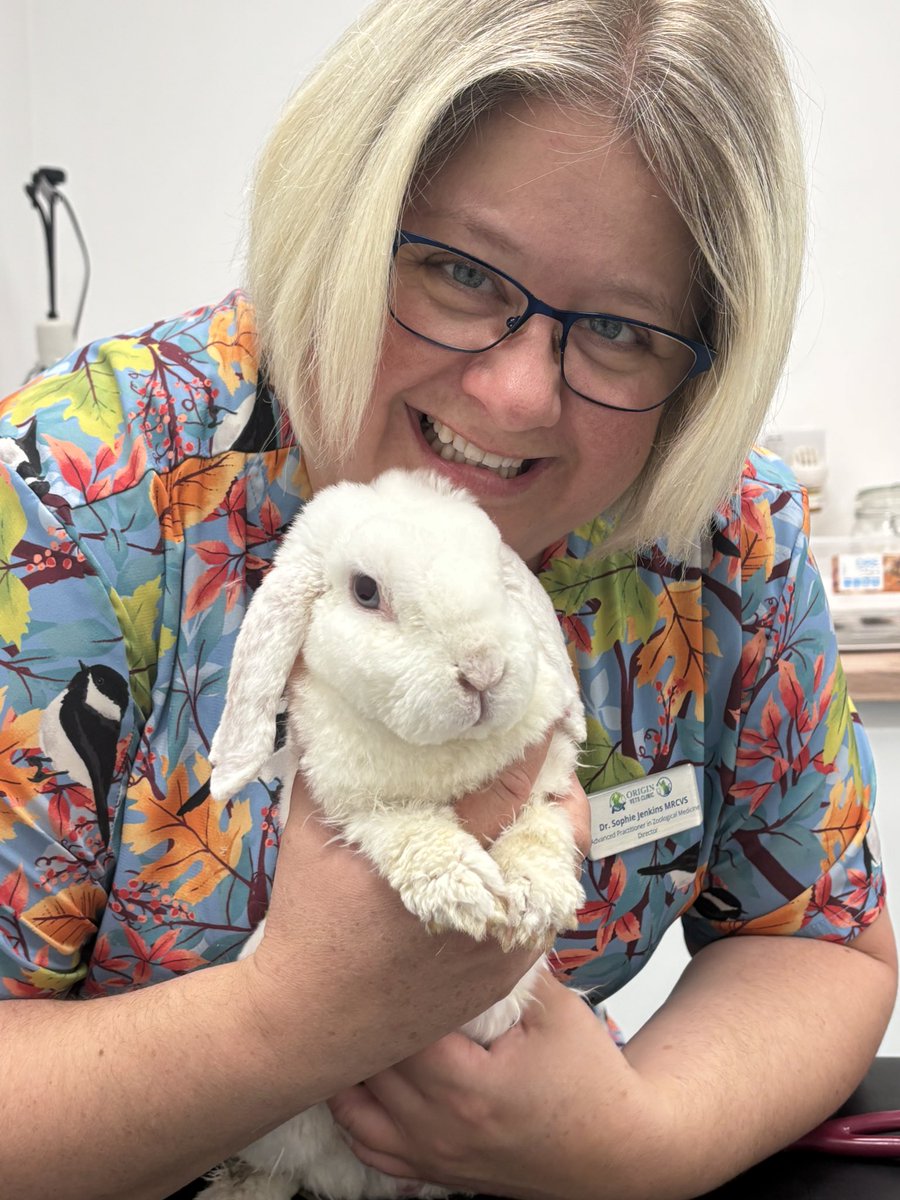 Carrot Cottage Rabbit Rescue tweet media