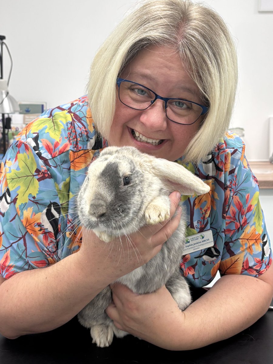 Carrot Cottage Rabbit Rescue tweet media