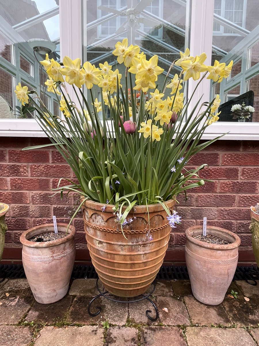 Milhart66Ken's tweet image. Pots along the path… #gardening #gardeninglife #gardenerslife