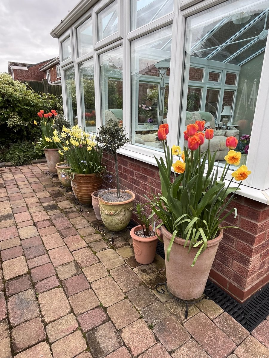 Milhart66Ken's tweet image. Pots along the path… #gardening #gardeninglife #gardenerslife