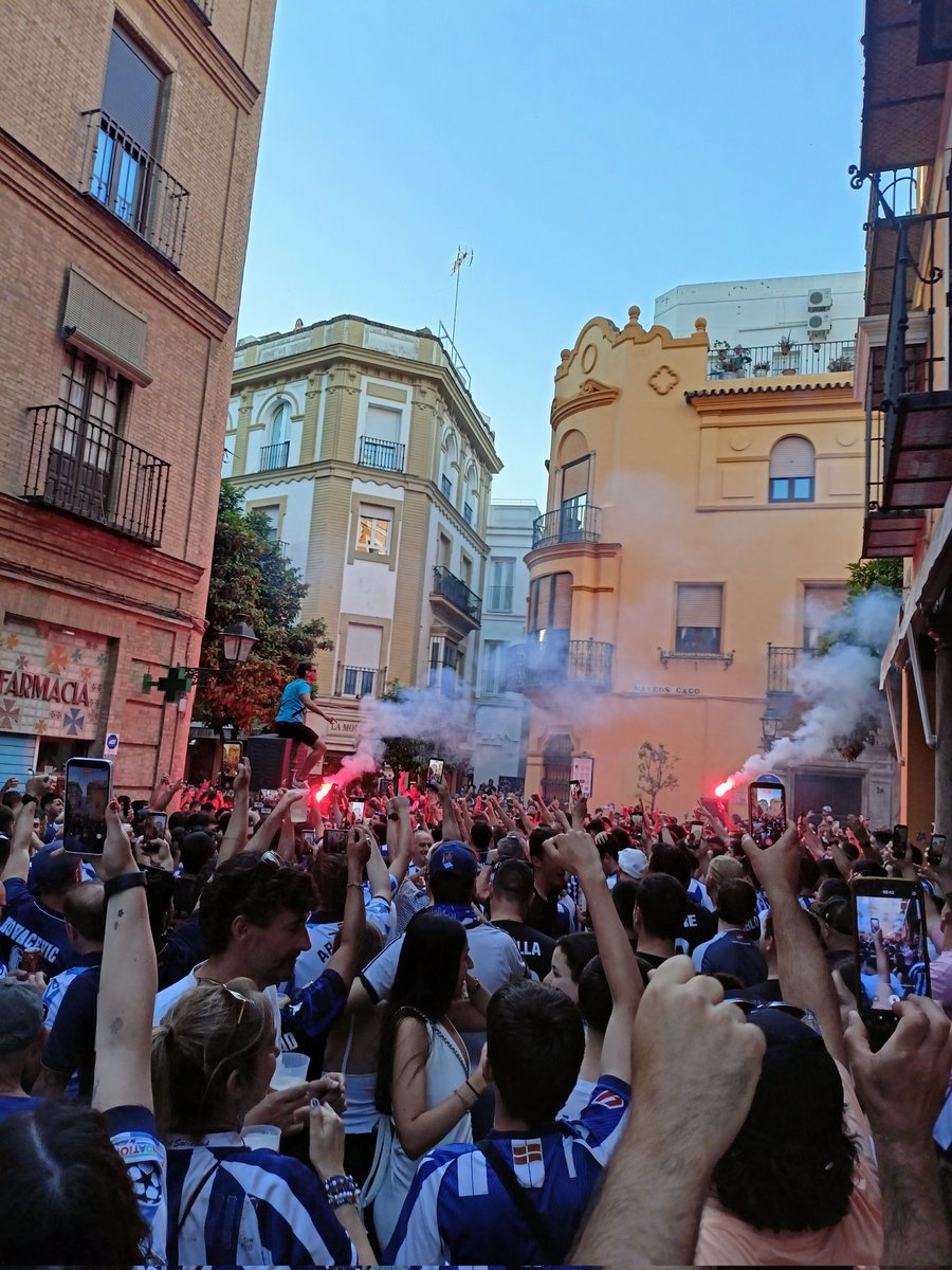 Jøseba 👁️ tweet media