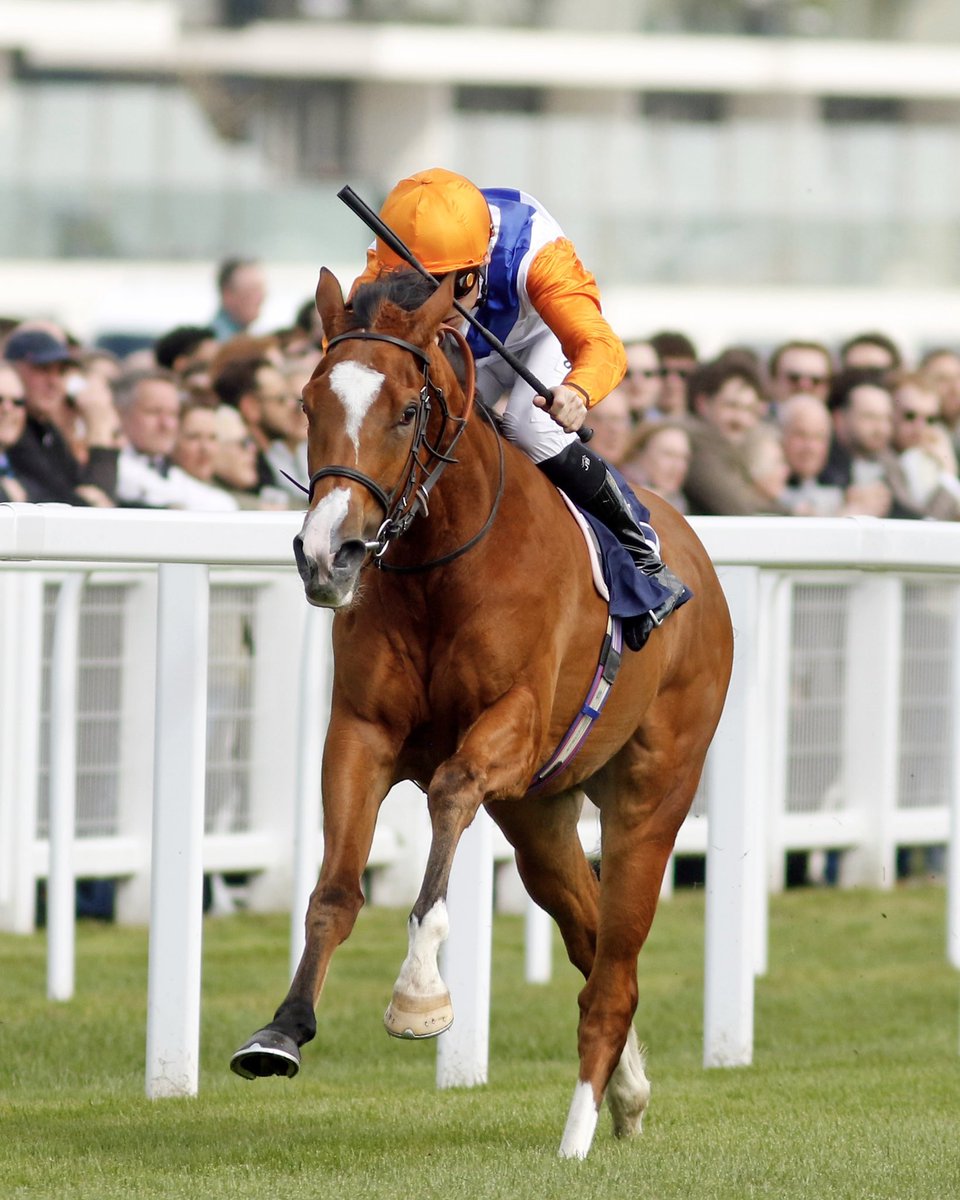 Kingsdown Stables tweet media