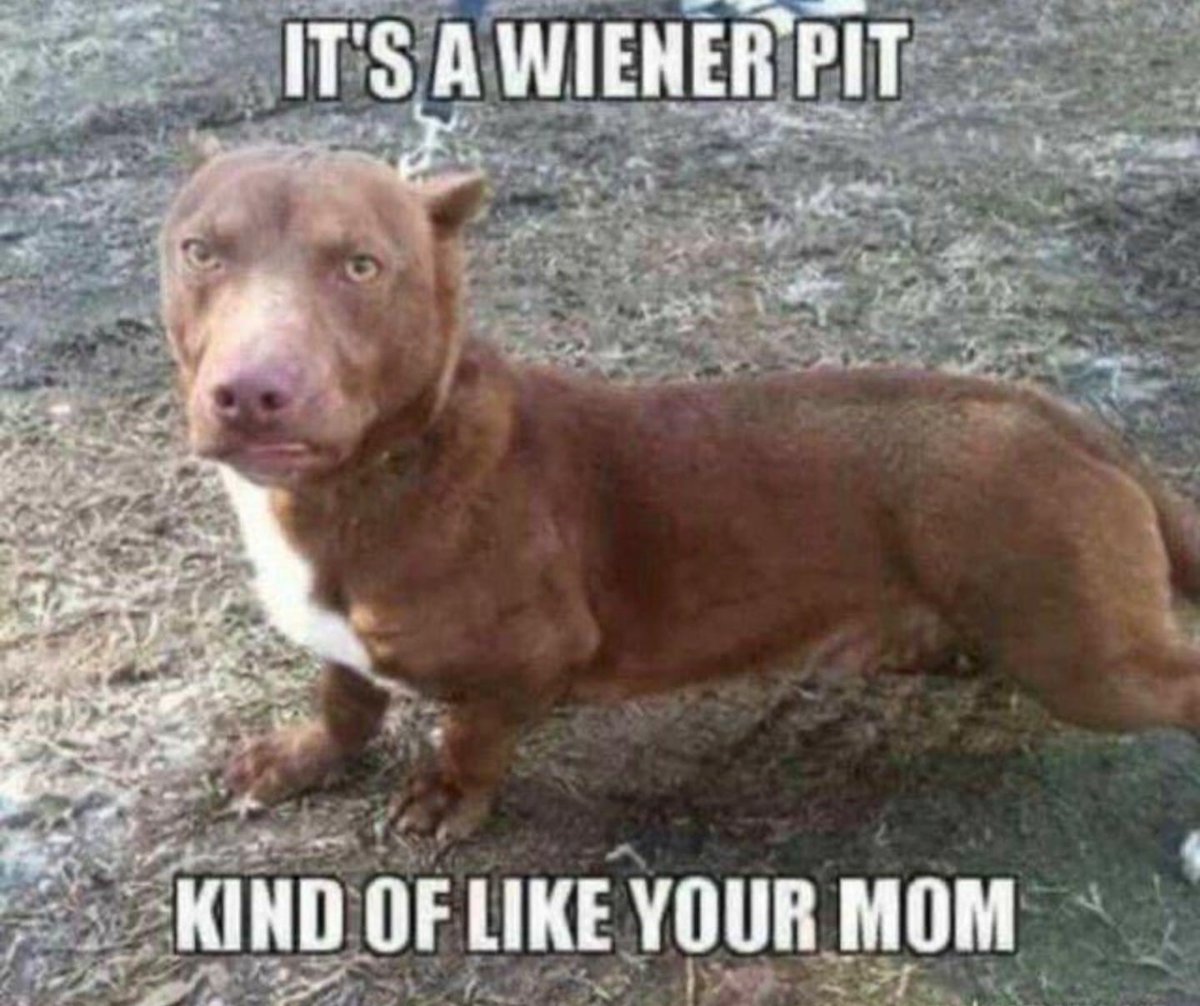 Dale Barker tweet media