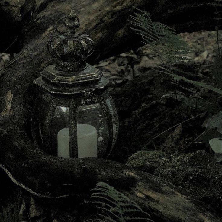 ৻ꪆ skyler tweet media