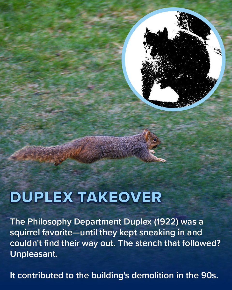 Creighton University Alumni tweet media