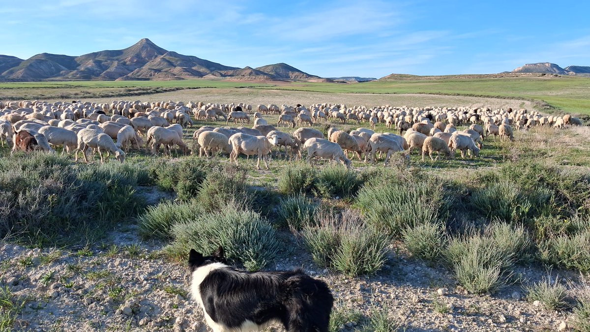 La Kukula tweet media