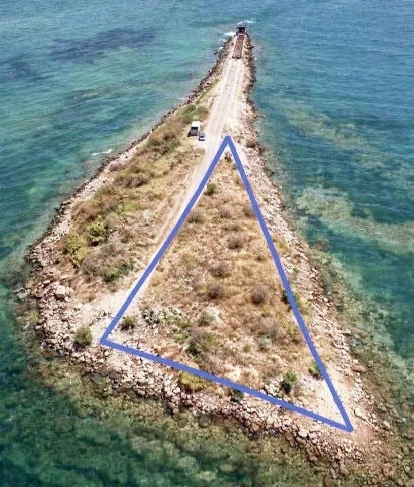 Oscar ✨ tweet media