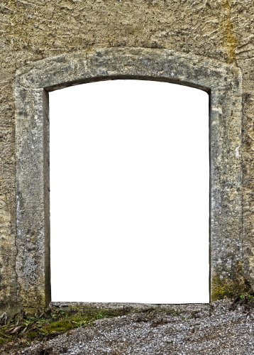 Lisa M Christie, PhD tweet media