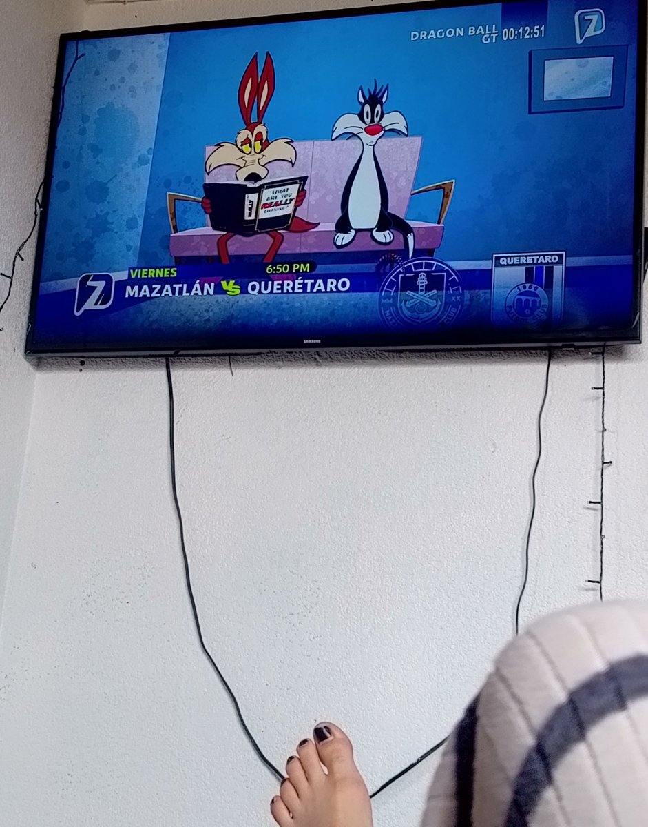 Bxby Moosh tweet media